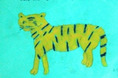 tiger6