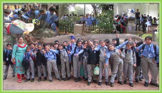 Visit to Golden Jubilee Nature Camp