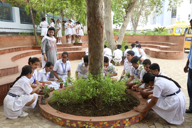 ‘Environment Day’