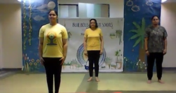 YOGA – THE NEW NORMAL SESSION 7