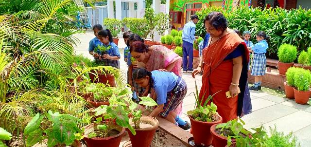 Environment Day Celebration (Primary Wing)